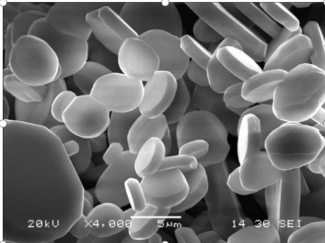 Platelet Calcined Alumina Properties and Applications Uncategorized -2-